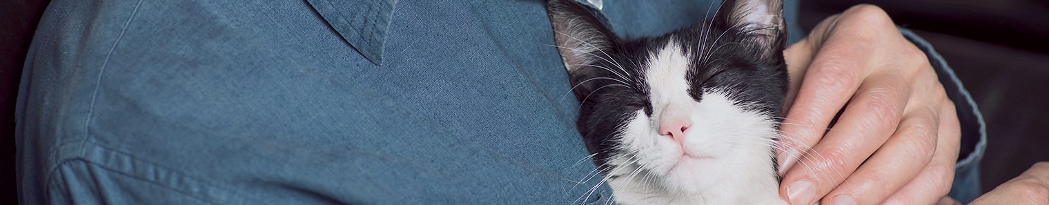 South Salem Animal Hospital South Salem Animal Hospital