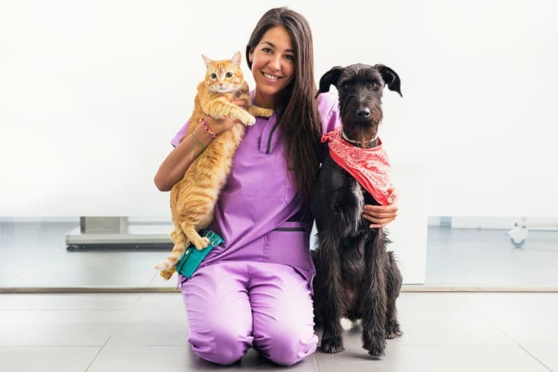 Routine Vet Exams: Why Are Regular Veterinary Checkups Important? Routine Vet Exams: Why Are Regular Veterinary Checkups Important?