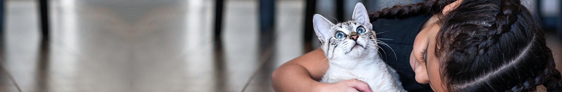 thomasville-veterinary-hospital-banner-3 thomasville-veterinary-hospital-banner-3