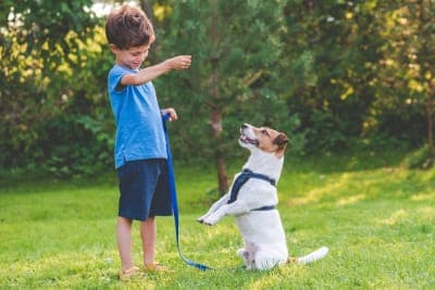 Fun Dog Facts for Kids Fun Dog Facts for Kids