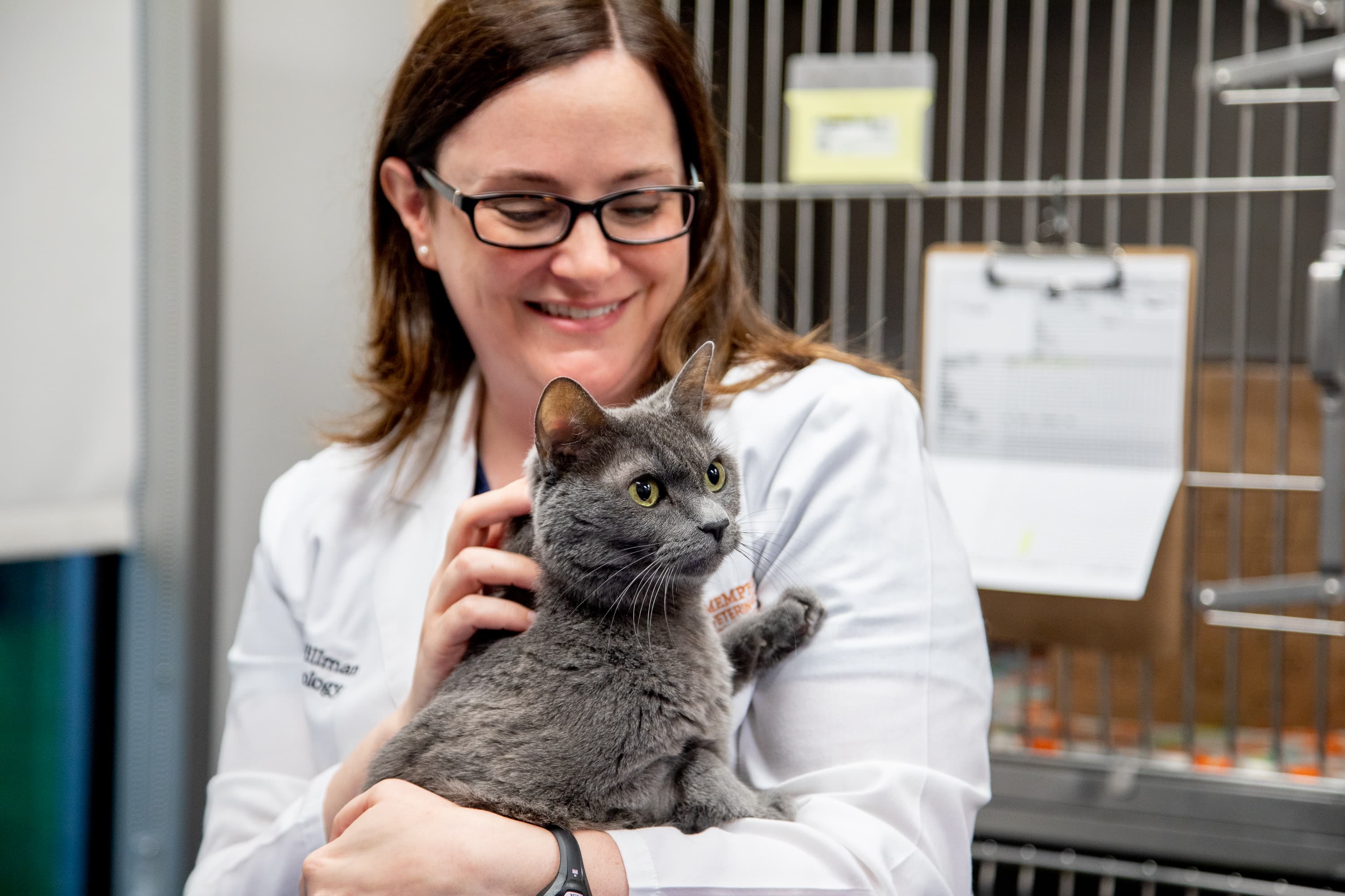 Cat with Doctor Cat with Doctor