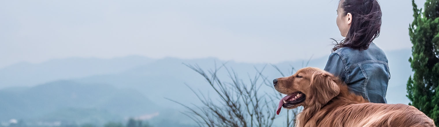 about us Hero about us Hero