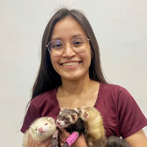 Dr. Veronica Flores Dr. Veronica Flores