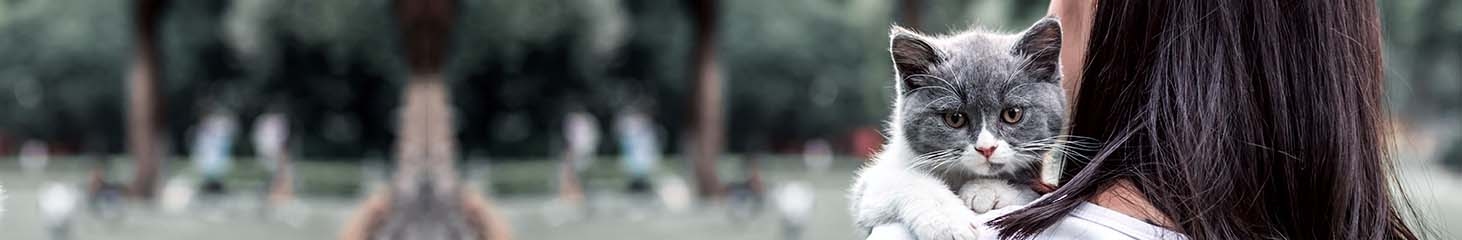 thomasville-veterinary-hospital-banner-3 thomasville-veterinary-hospital-banner-3