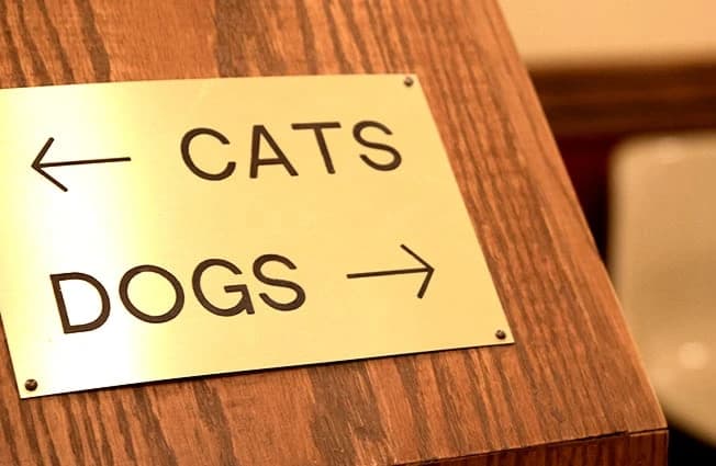 Marquette S. Marquette S.