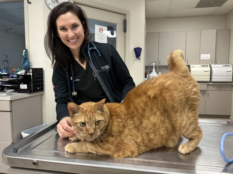 Germantown Parkway Animal Hospital Hero Image Germantown Parkway Animal Hospital Hero Image