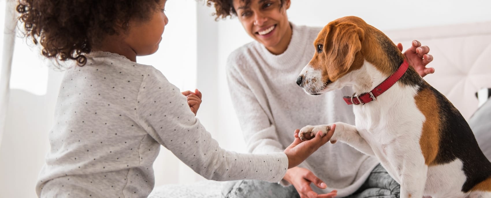 Picayune Veterinary Clinic Hero Image Picayune Veterinary Clinic Hero Image